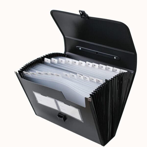 Expanding File Organizer